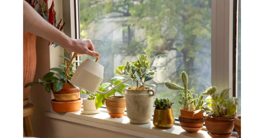 Monitor Watering Needs