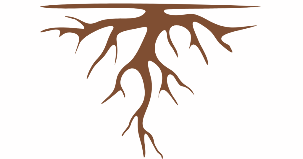 The Roots Morphology of the Flowering Plants 9 Untitled design 34