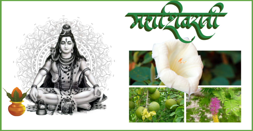 महाशिवरात्रि