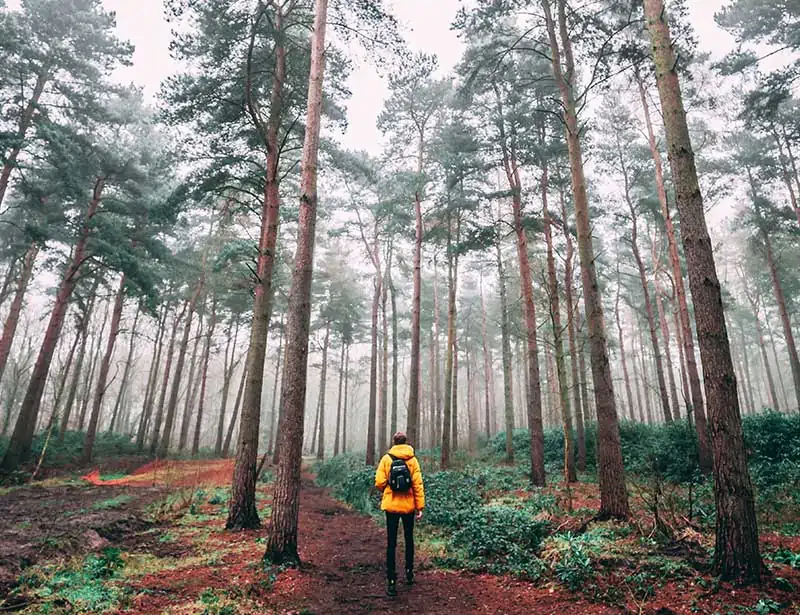 Ways to reconect with Nature