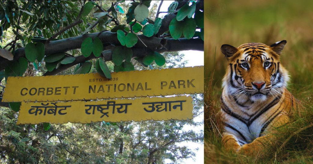 Top 10 National Parks in India That You Must Visit! 2 Jim Corbett National Park Uttarakhand