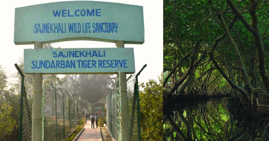 Top 10 National Parks in India That You Must Visit! 6 Sundarbans National Park West Bengal