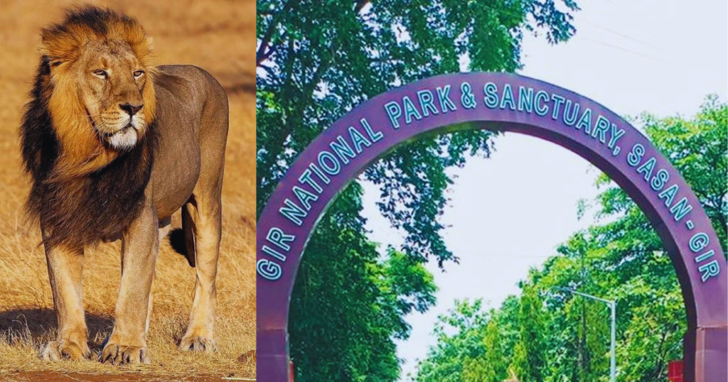 Top 10 National Parks in India That You Must Visit! 7 Untitled design 68