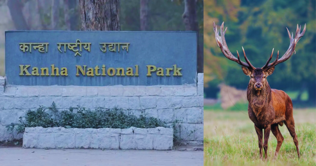 Top 10 National Parks in India That You Must Visit! 8 Untitled design 69