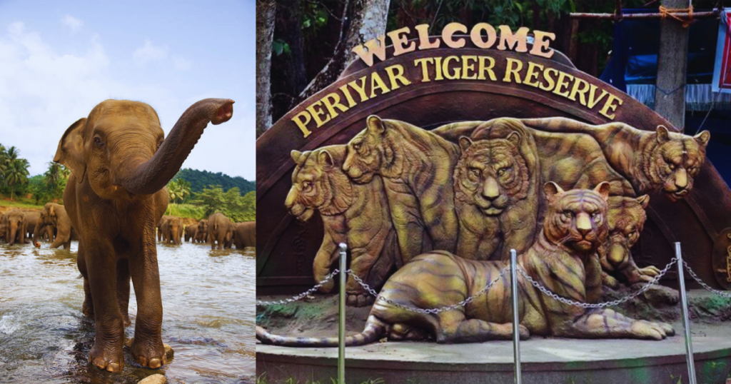 Top 10 National Parks in India That You Must Visit! 9 Untitled design 70