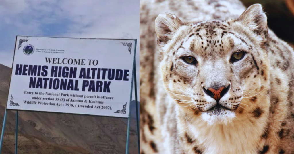 Top 10 National Parks in India That You Must Visit! 10 Untitled design 71