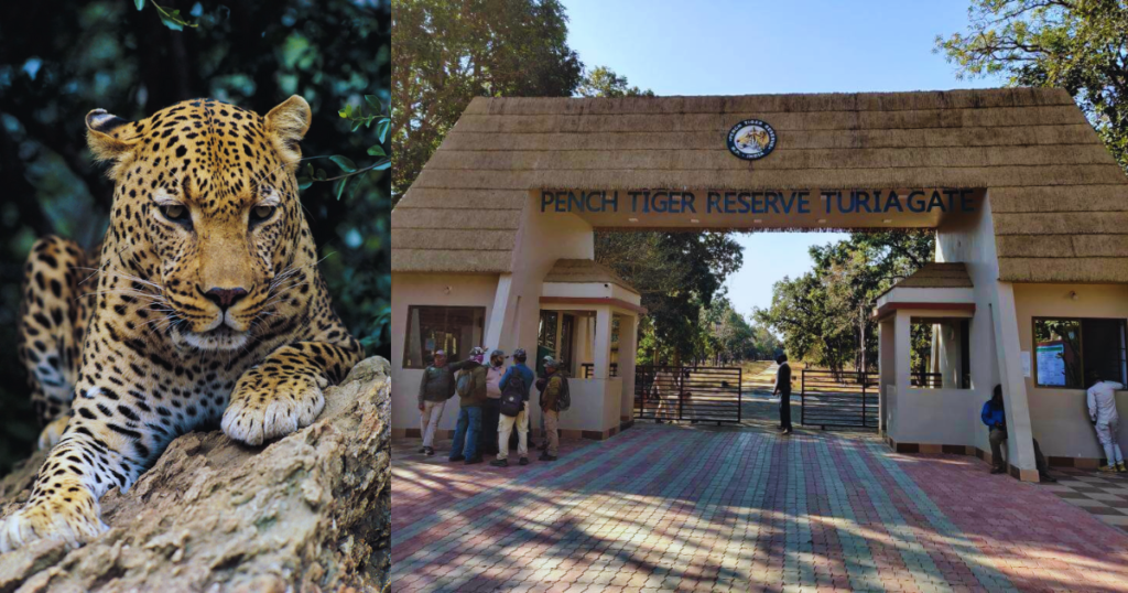 Top 10 National Parks in India That You Must Visit! 11 Untitled design 72